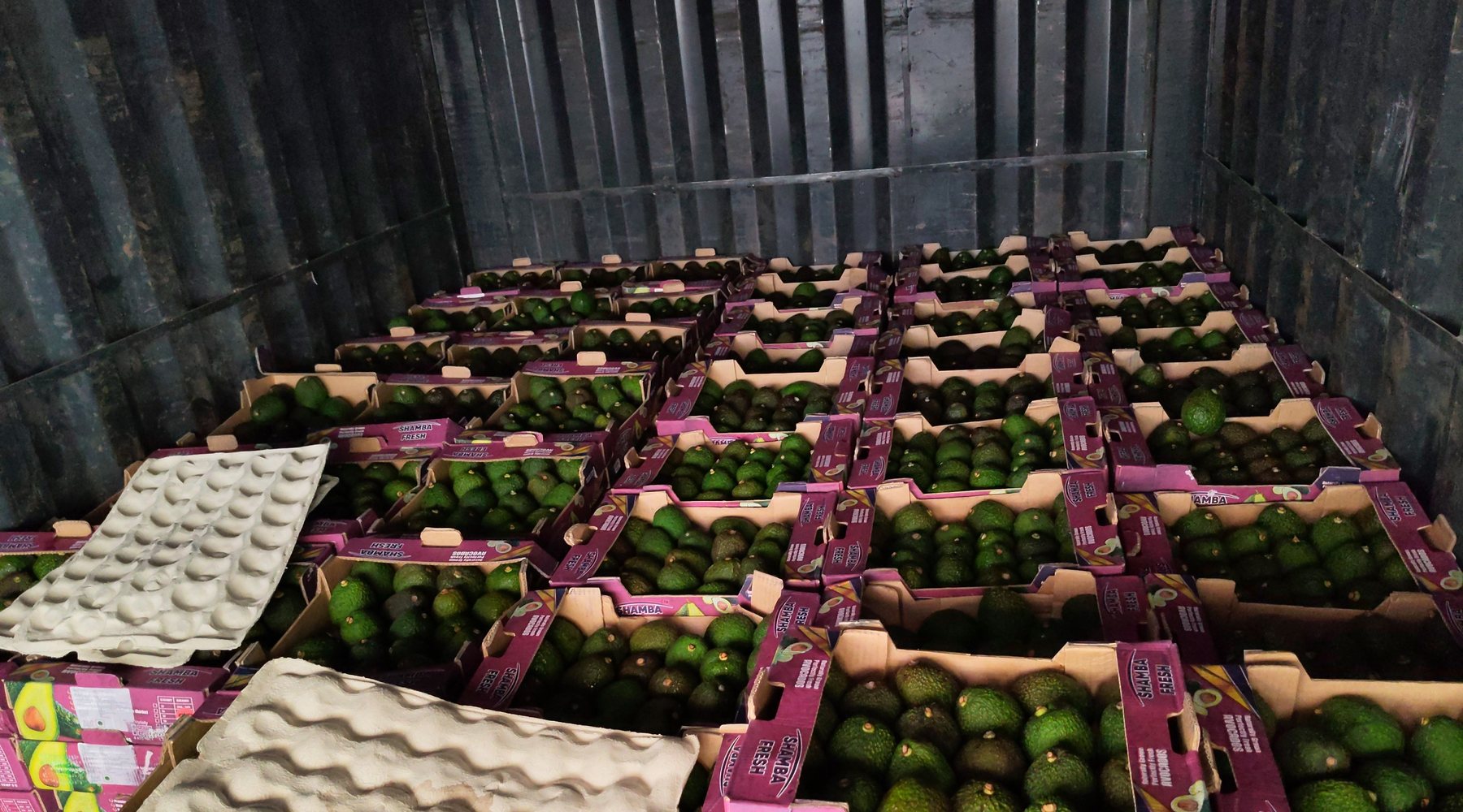 Shamba Fresh cartons inside a shipping container